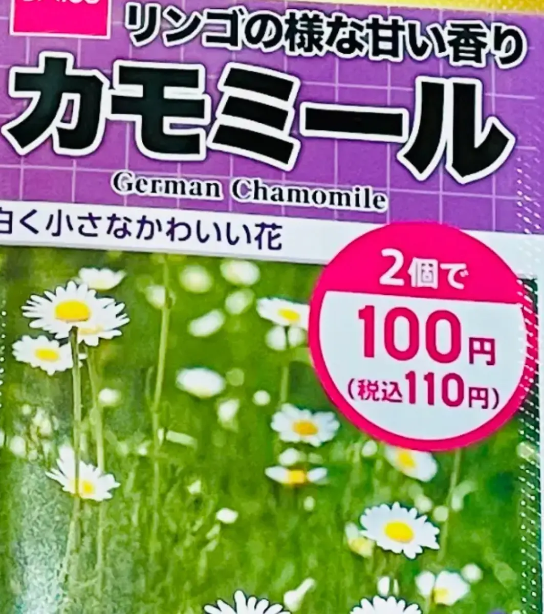 カモミールの種参考に img_cache_r_23231_c_1649596204