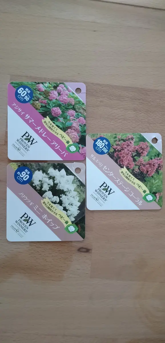 PW当選苗・宮城県での成長過程です｜そだレポ（栽培レポート）byすず