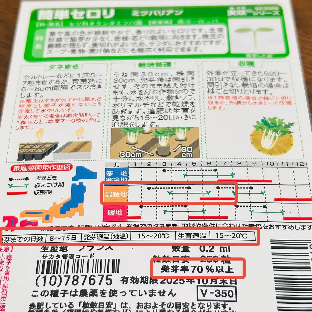 セロリの栽培&調理に初挑戦🎵|そだレポ(栽培レポート)bymasa セロリの栽培&調理に初挑戦🎵|そだレポ(栽培レポート)bymasa