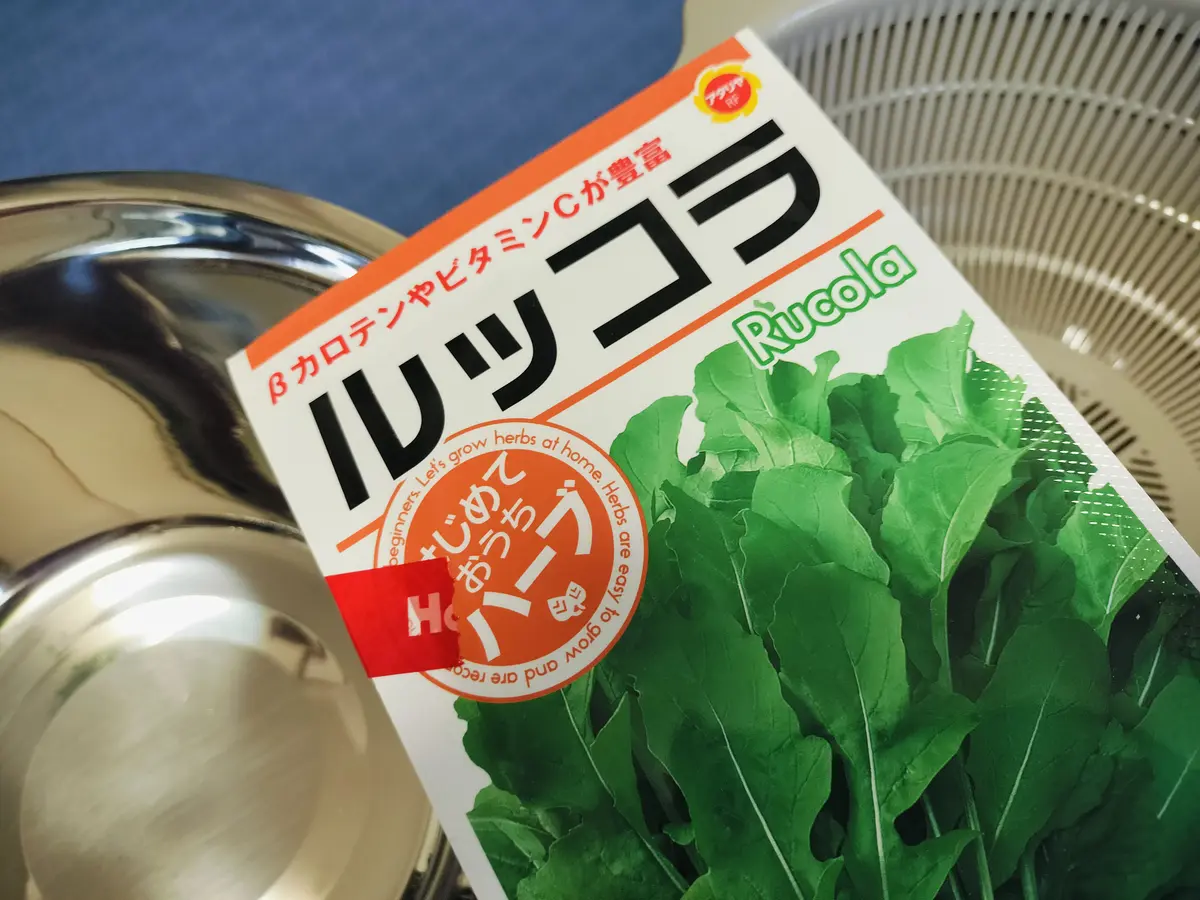 ＊ルッコラページ＊ ルッコラ・rucola・キバナスズシロ（黄花蘿蔔） / ブログ / 酢飯屋