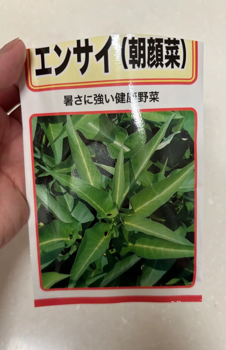 初めての空芯菜｜そだレポ（栽培レポート）byわたしノート｜みんなの