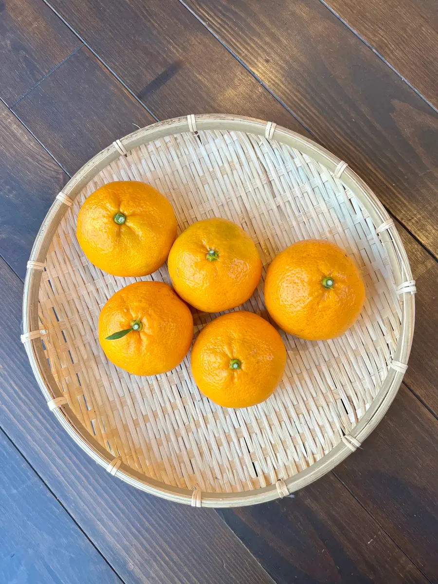 完全初心者による《宮川早生》の鉢栽培記録｜そだレポ（栽培レポート