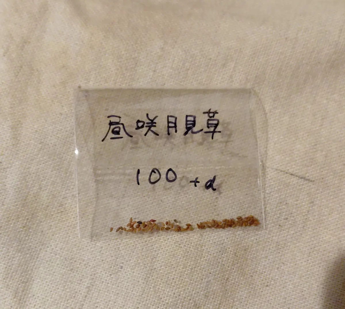 月草様確認用 ロゲットカード（全国統一観光スポットカード） 草津温泉でも配布中