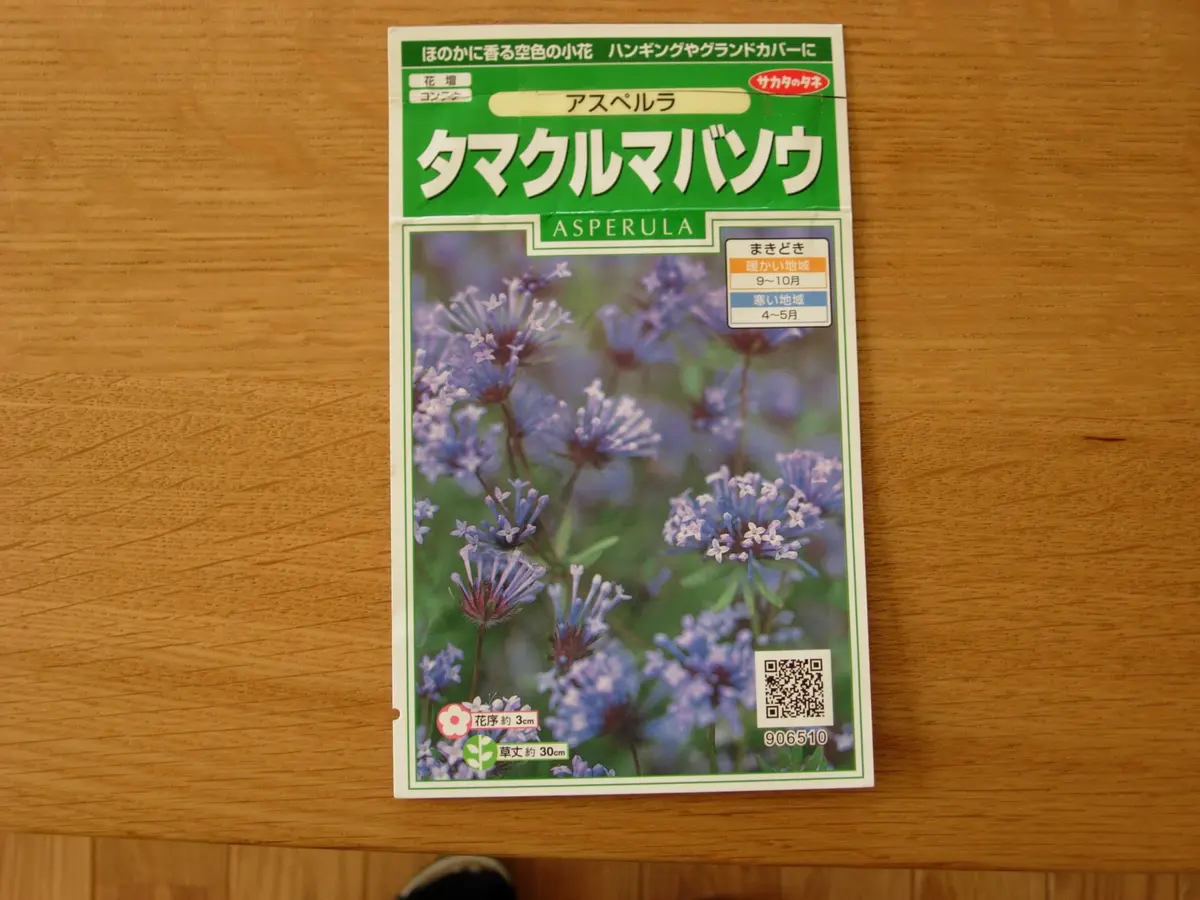 出産祝いなども豊富 タネから・・・控えめな人気者☆アスペルラ｜そだレポ（栽培 その他