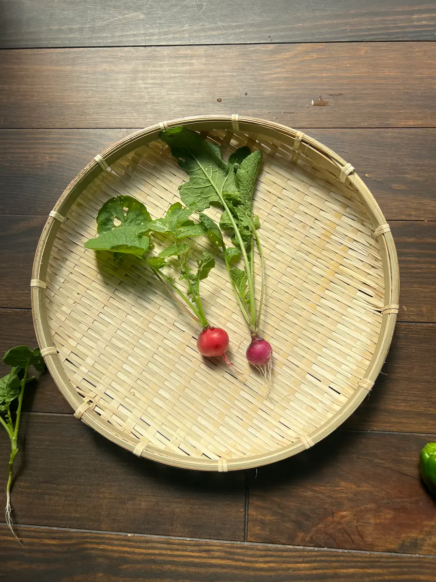 完全初心者による《ころころラディッシュミックス》の鉢栽培記録｜そだ