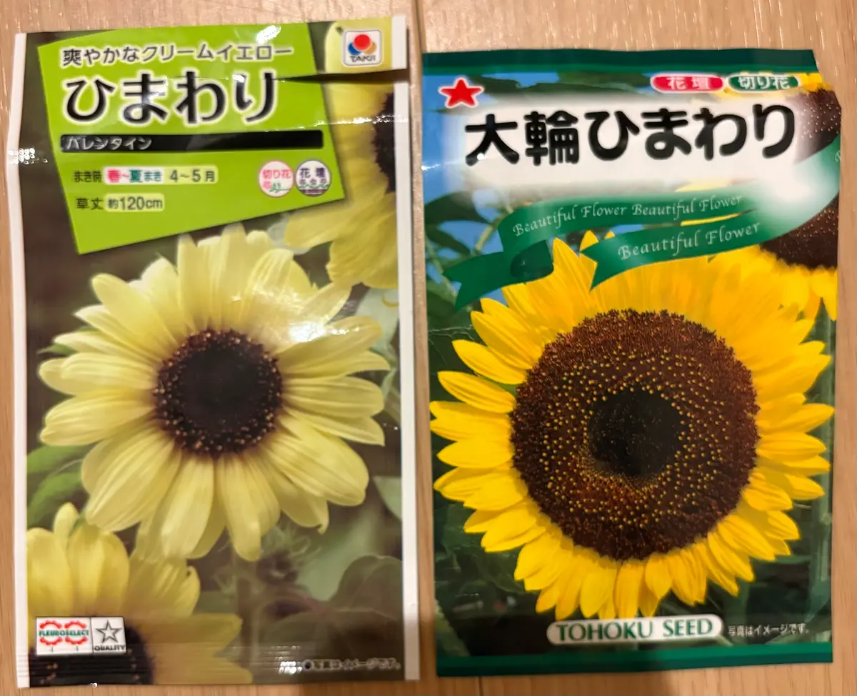 ひまわり大輪とミニタネから育てる｜そだレポ（栽培レポート