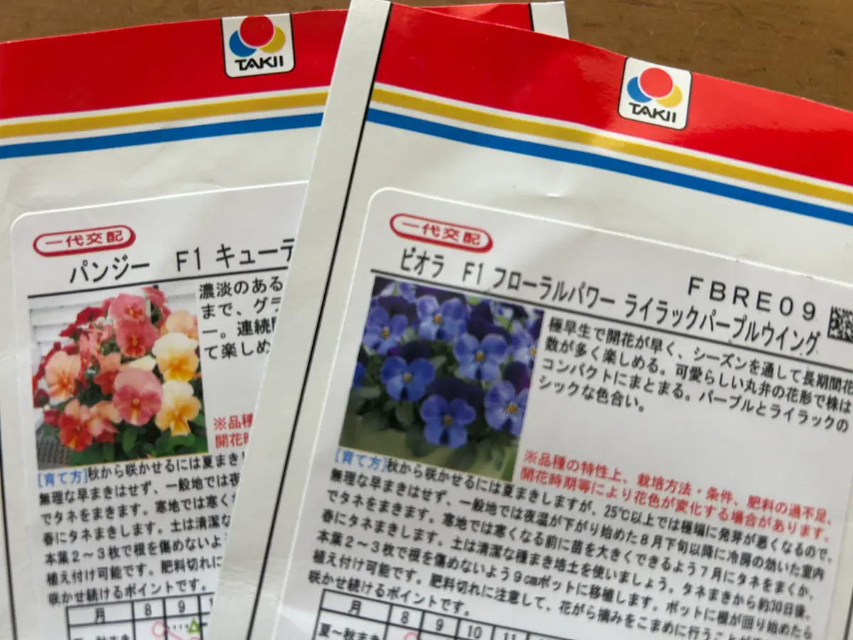 パンジー、ビオラを7月蒔きして年内に開花を目指す❣️｜そだレポ