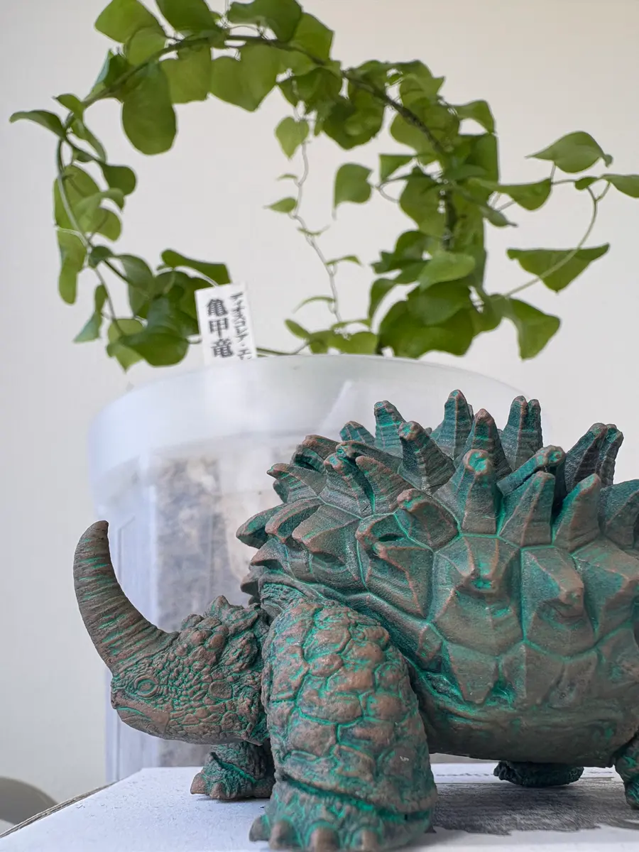 亀甲竜の育成レポ｜そだレポ（栽培レポート）byひろりん☆｜みんなの