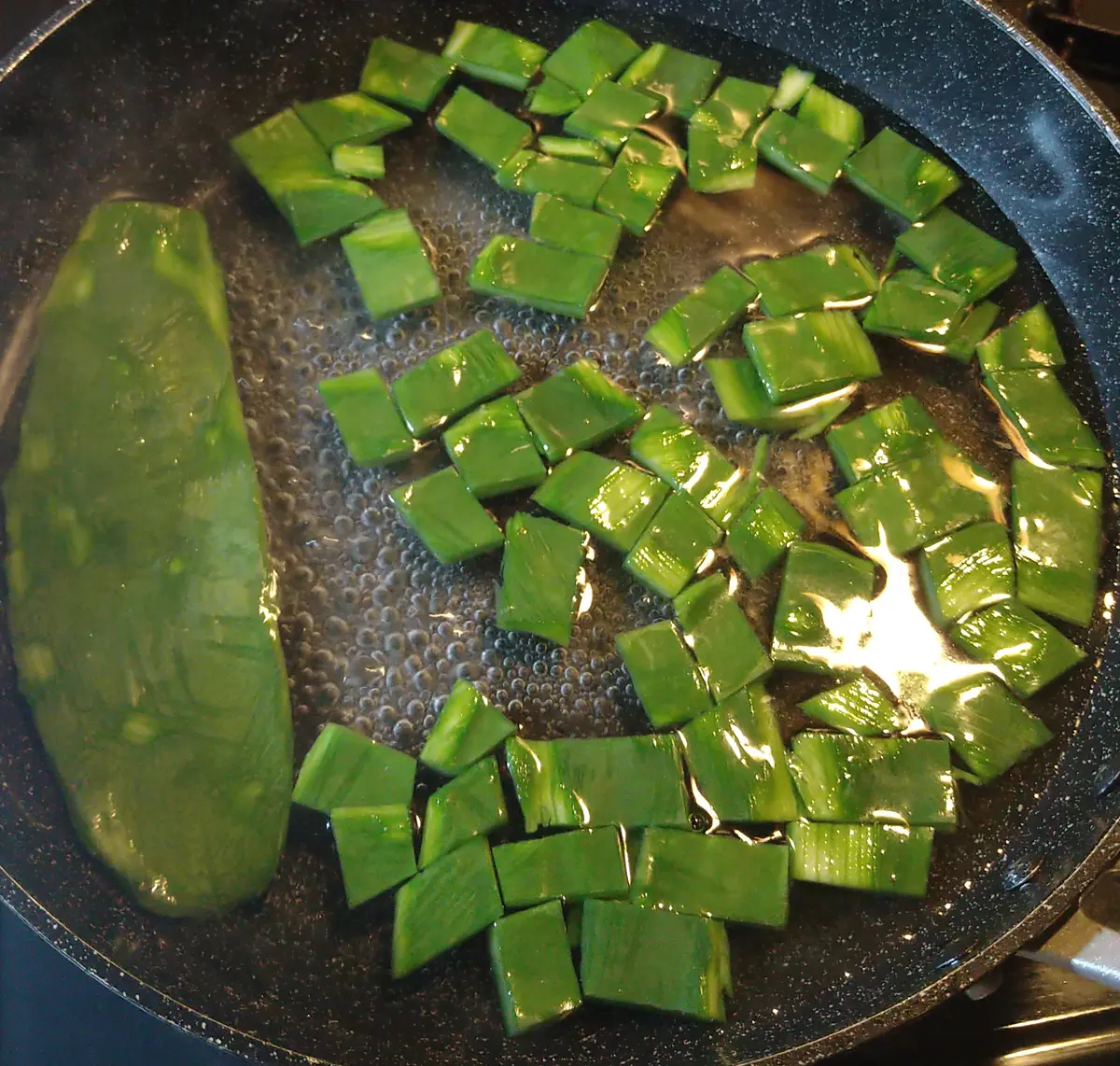 栽培中🌱】食用ウチワサボテン(ノパル)の実を食べてみたい｜サボテンの