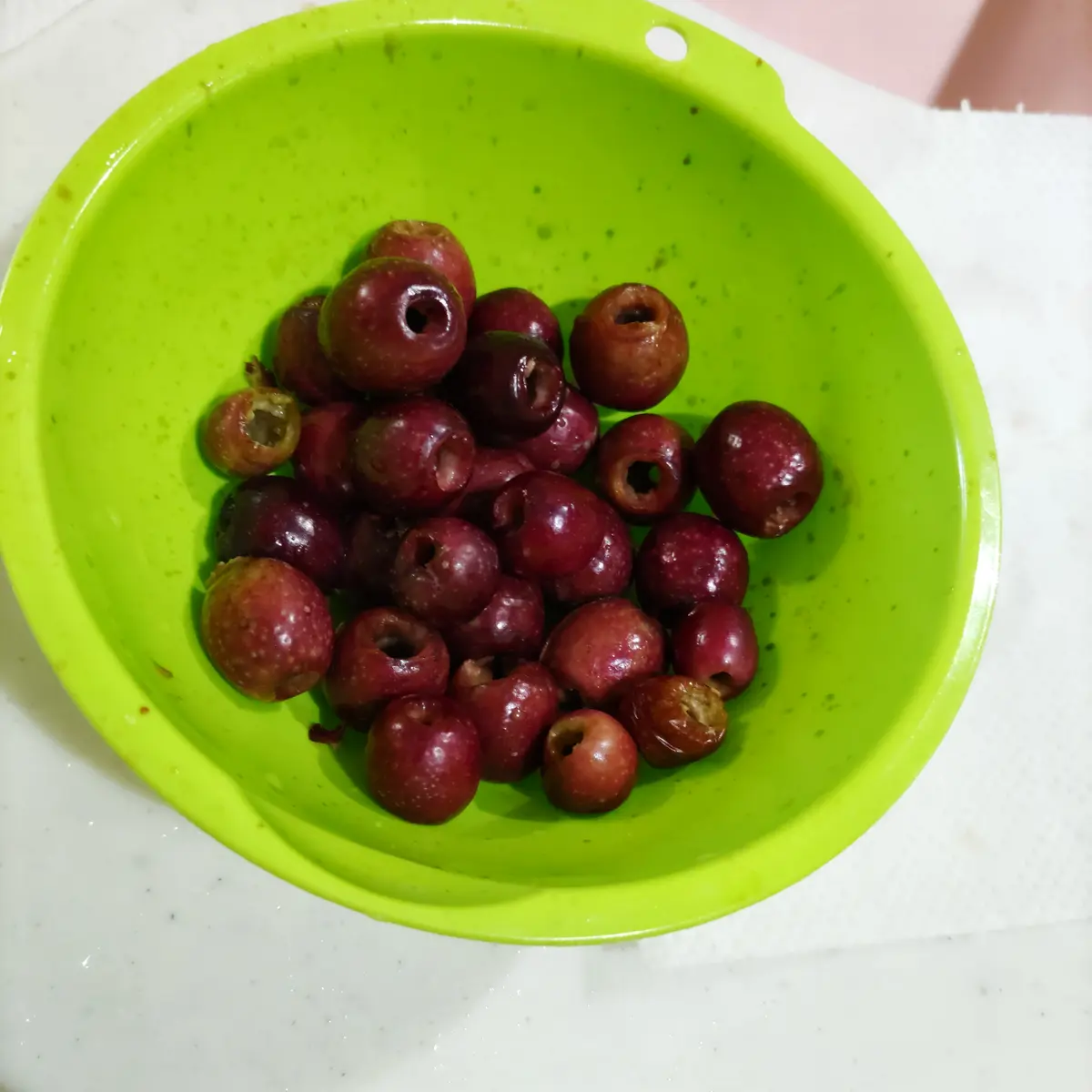 オリーブの実🫒食べてみよう！パート2｜そだレポ（栽培レポート