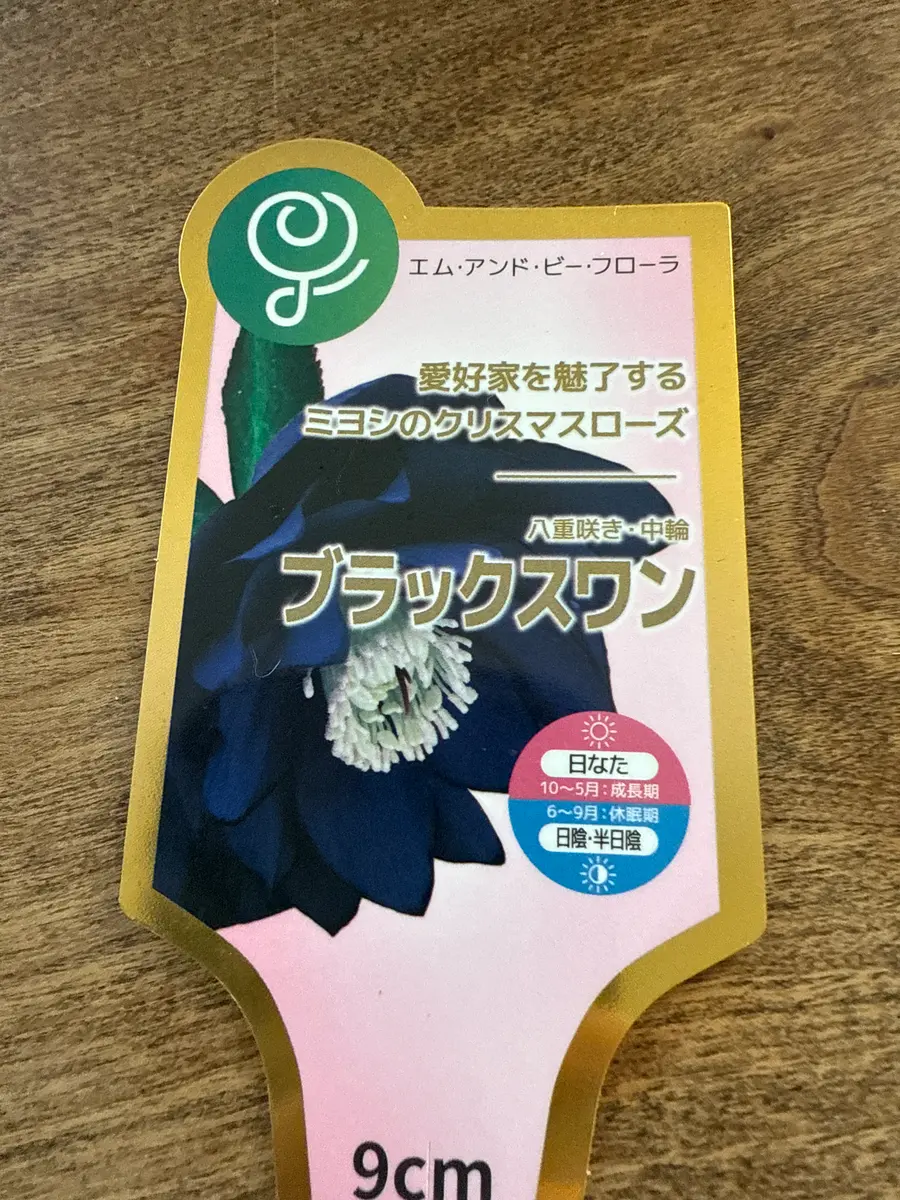 クリスマスローズブラックスワン｜そだレポ（栽培レポート