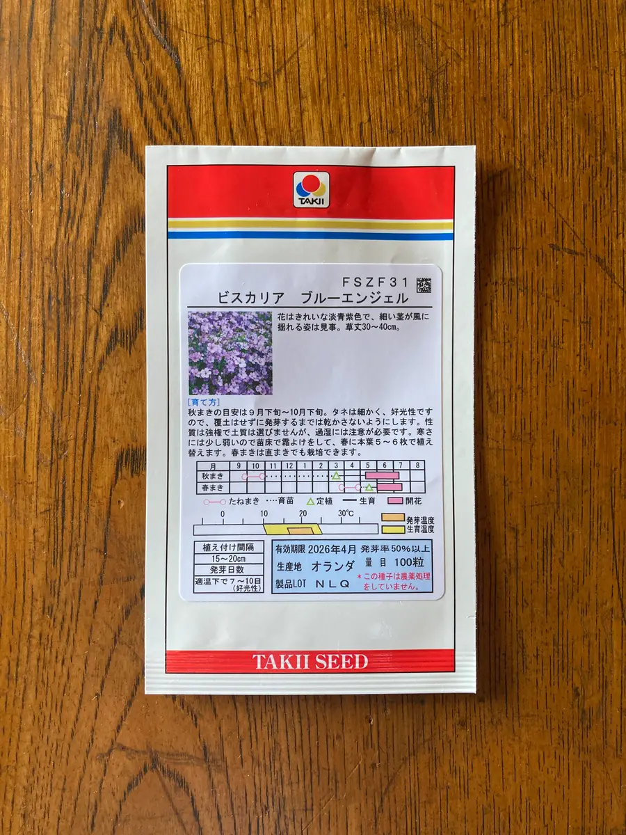 ビスカリア ブルーエンジェルを種から育てる｜そだレポ（栽培レポート