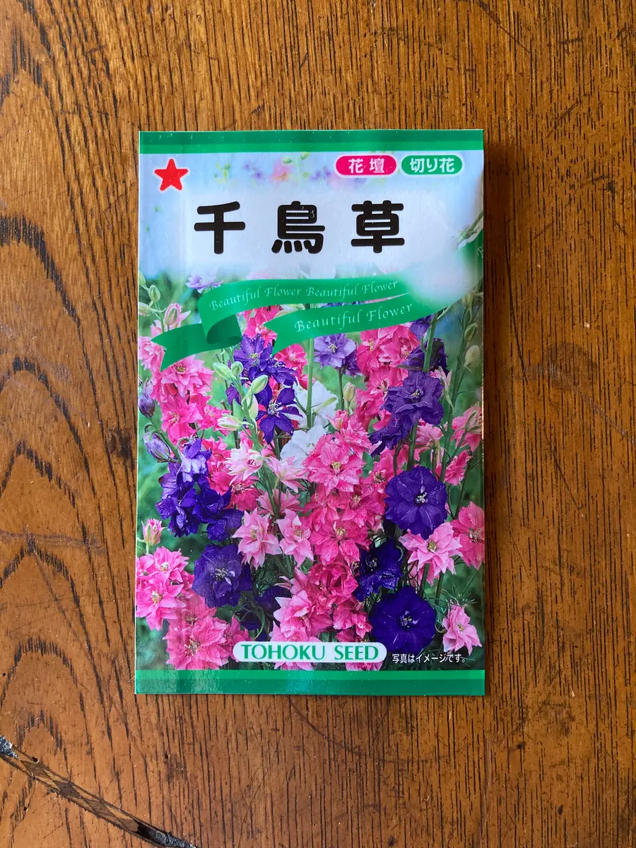千鳥草（チドリソウ/ラークスパー）を種から育てる｜そだレポ（栽培