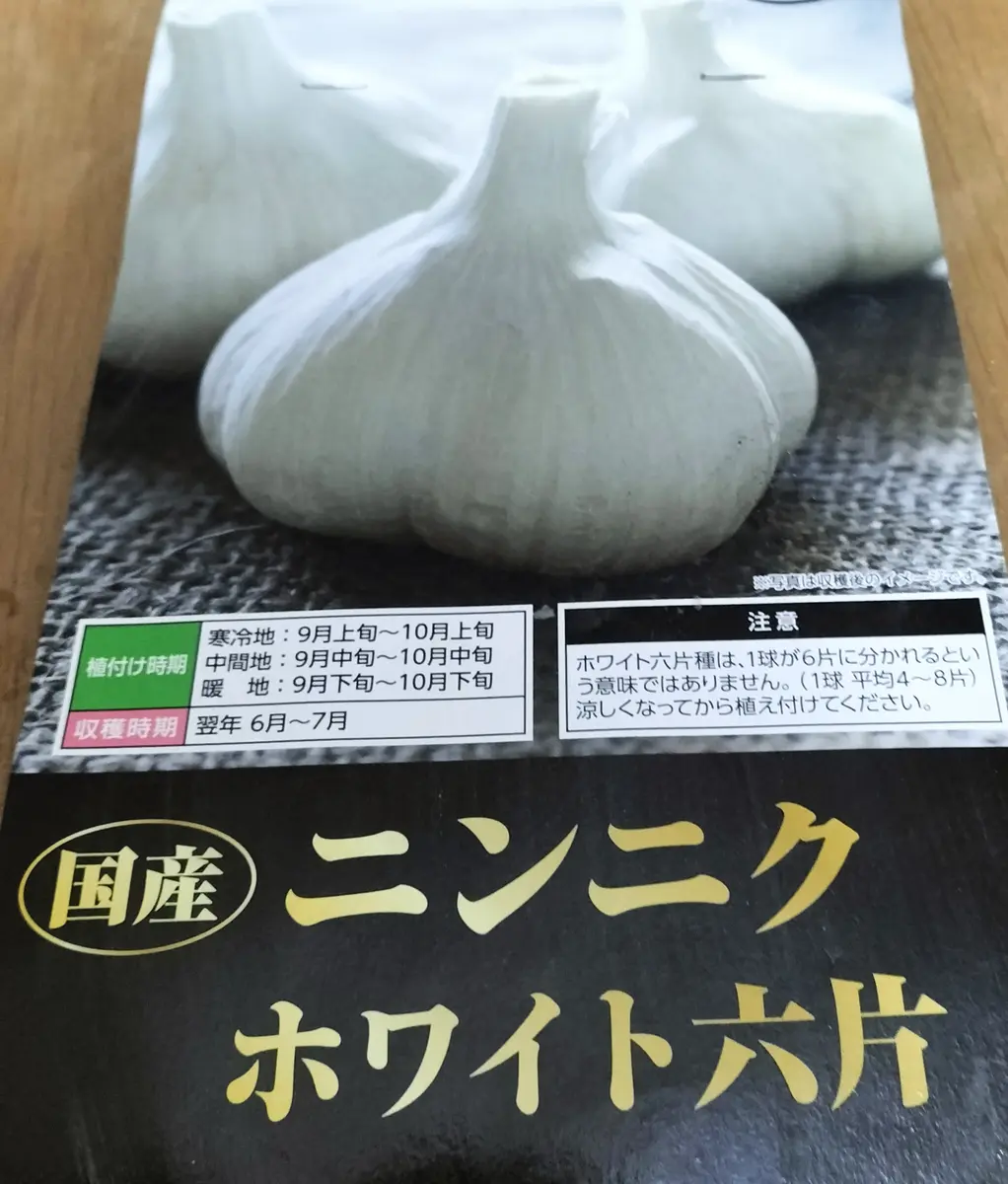 寒冷地のにんにく栽培｜そだレポ（栽培レポート）byえのみん｜みんなの