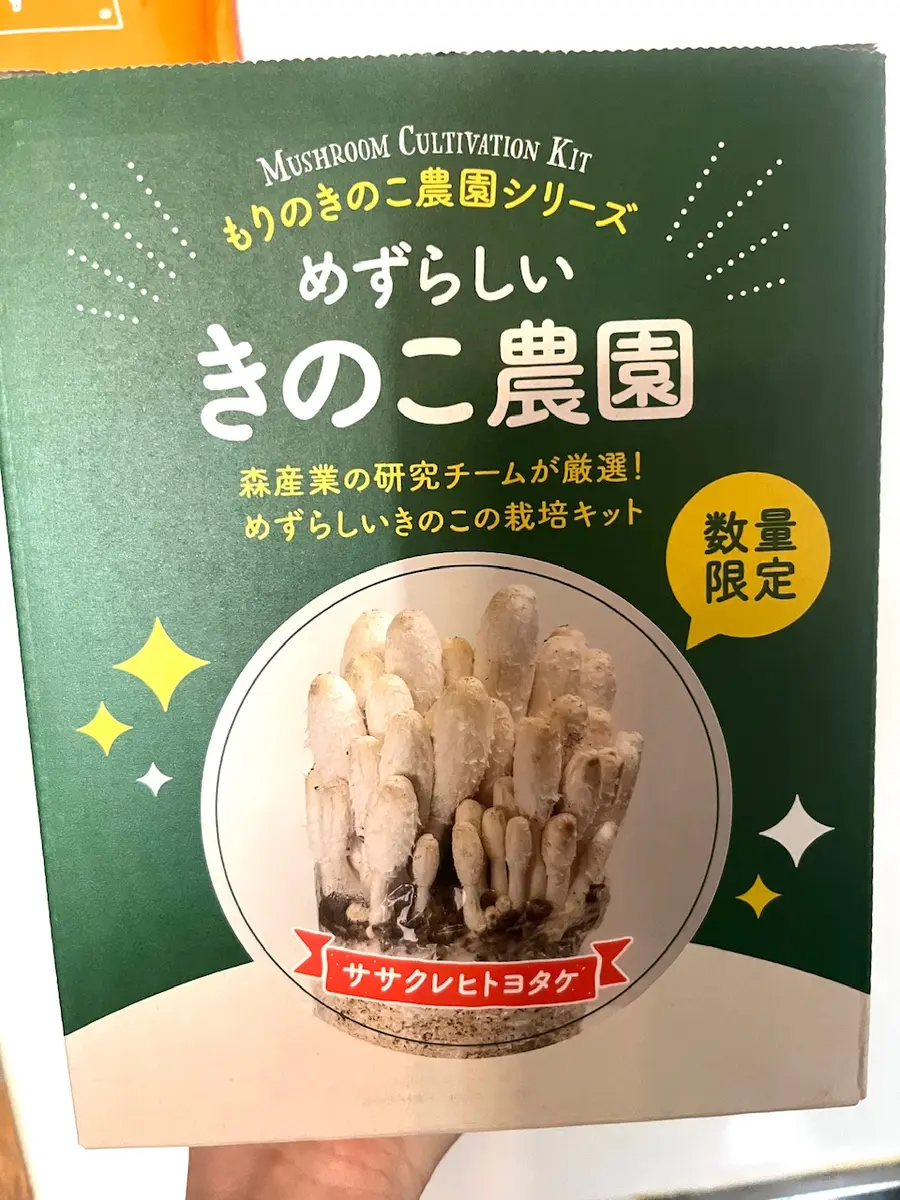 忙しい時期から飼うササクレヒトヨタケ｜そだレポ（栽培レポート）by