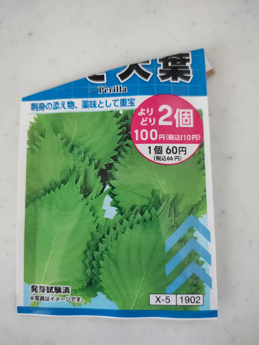 大葉育つかな｜そだレポ（栽培レポート）byあきごろう｜みんなの趣味の園芸