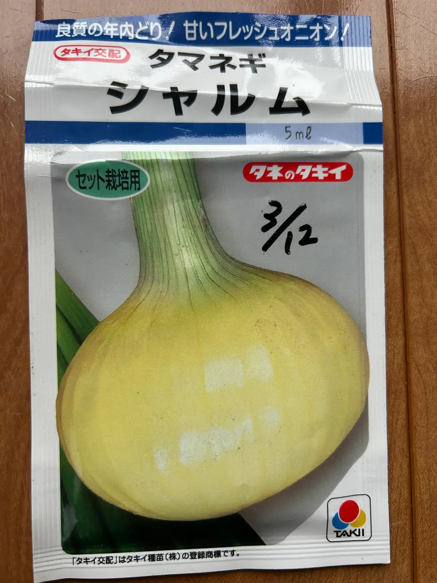 玉ねぎのセット球を作り12月収穫をめざす！｜そだレポ（栽培レポート