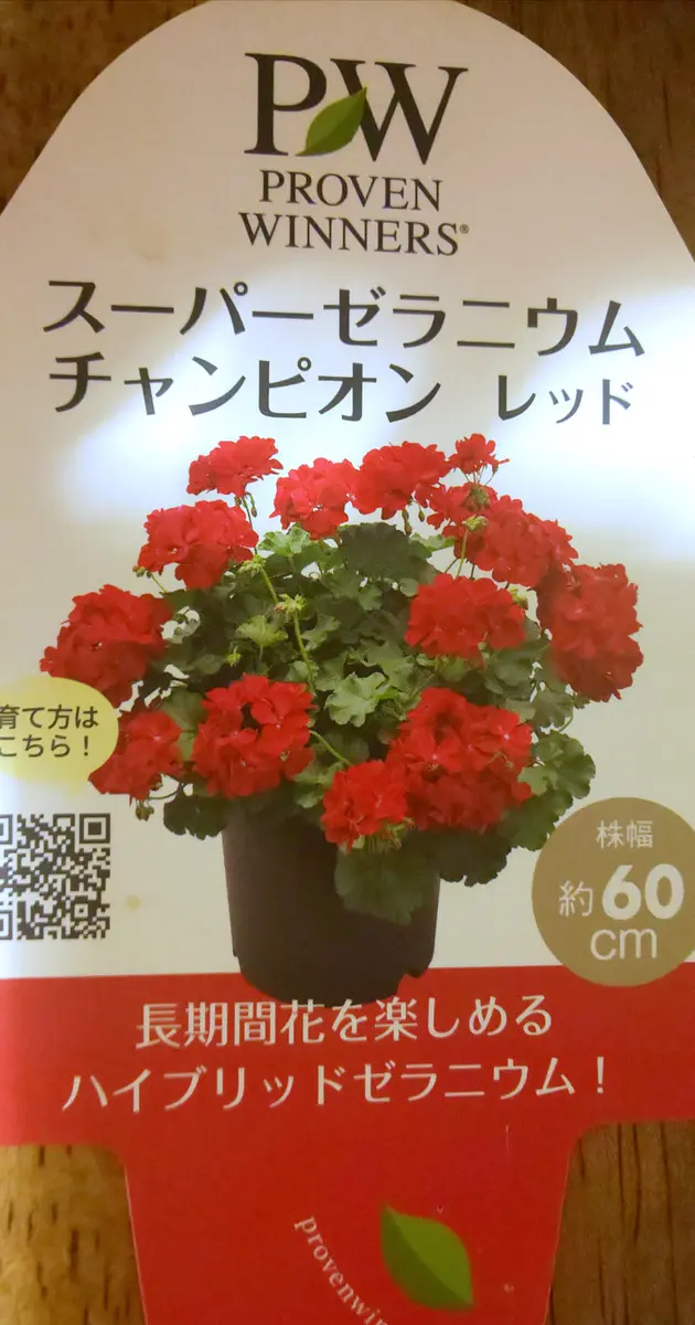 ナゼか今、無性に切実に堪らんぐらい(笑)紅い花が欲しい((o(>_&lt