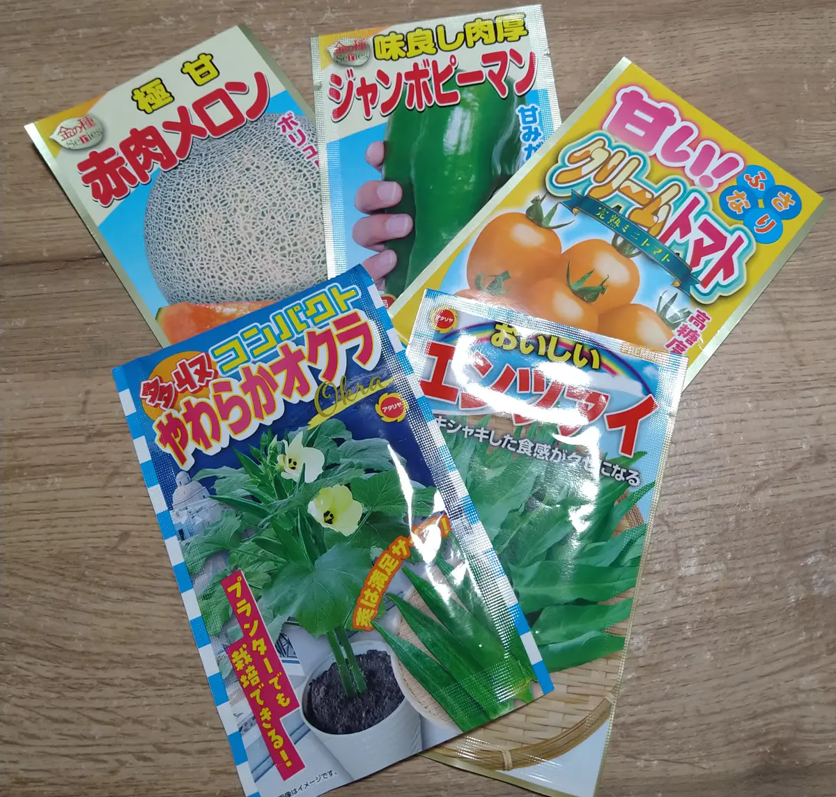 栽培中🌱】「多収コンパクトやわらかオクラ」を鉢栽培｜そだレポ（栽培