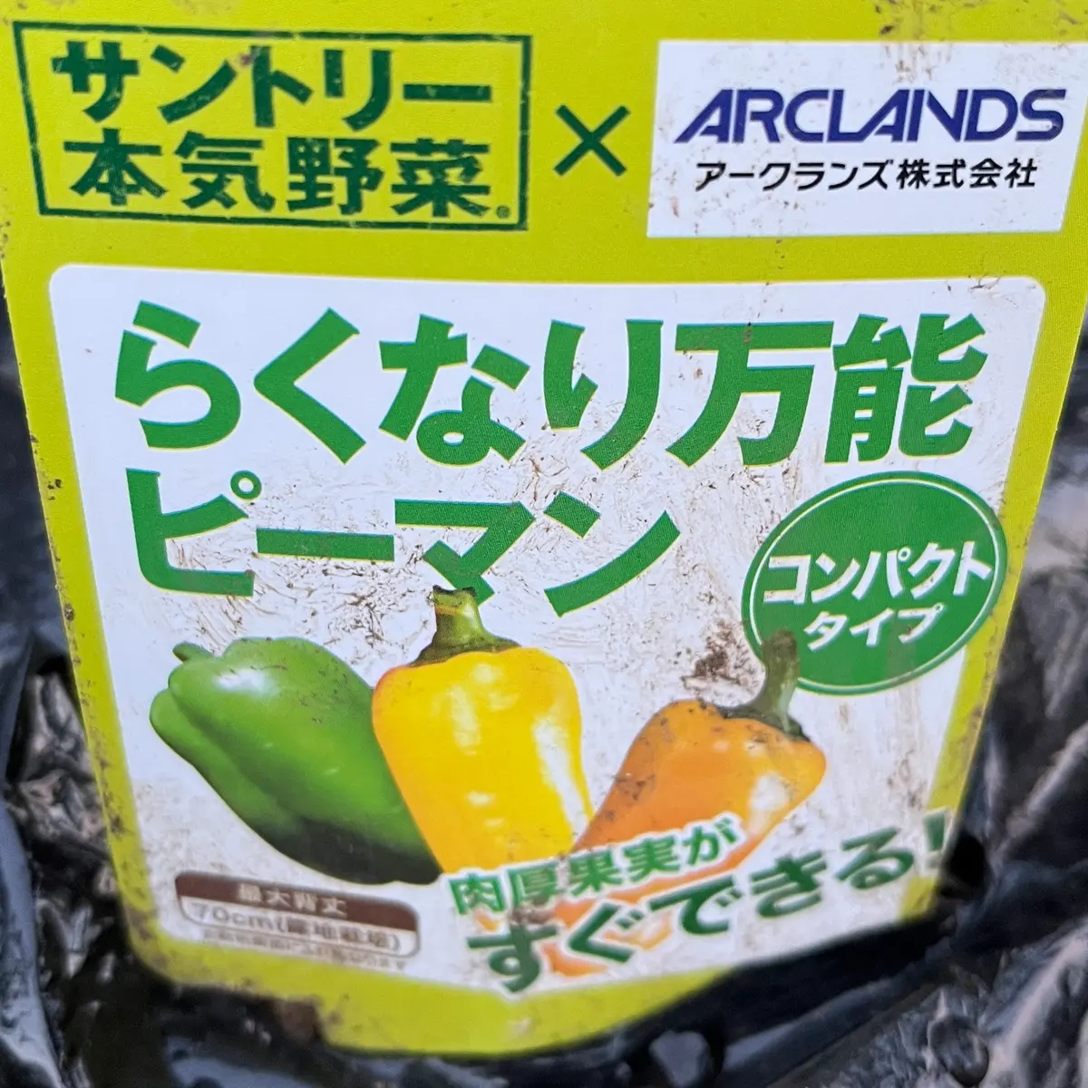 追加検討中 ピーマンさん専用 楽なり万能ピーマンの栽培🌱｜そだレポ（栽培レポート）bypeacegarden