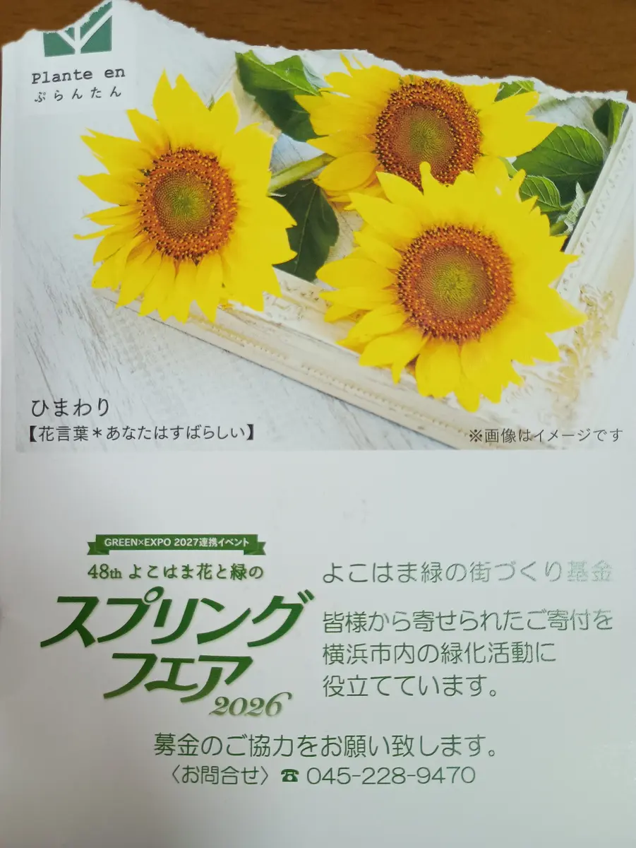 ひまわりページ ひまわりに種から育てる｜そだレポ（栽培レポート）byぶどういちご