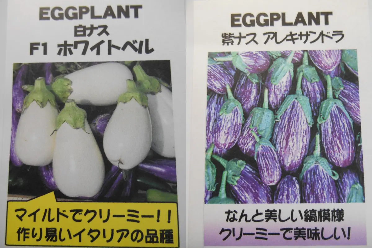 おもしろ野菜に挑戦！2014vol.5｜そだレポ（栽培レポート）byrider1