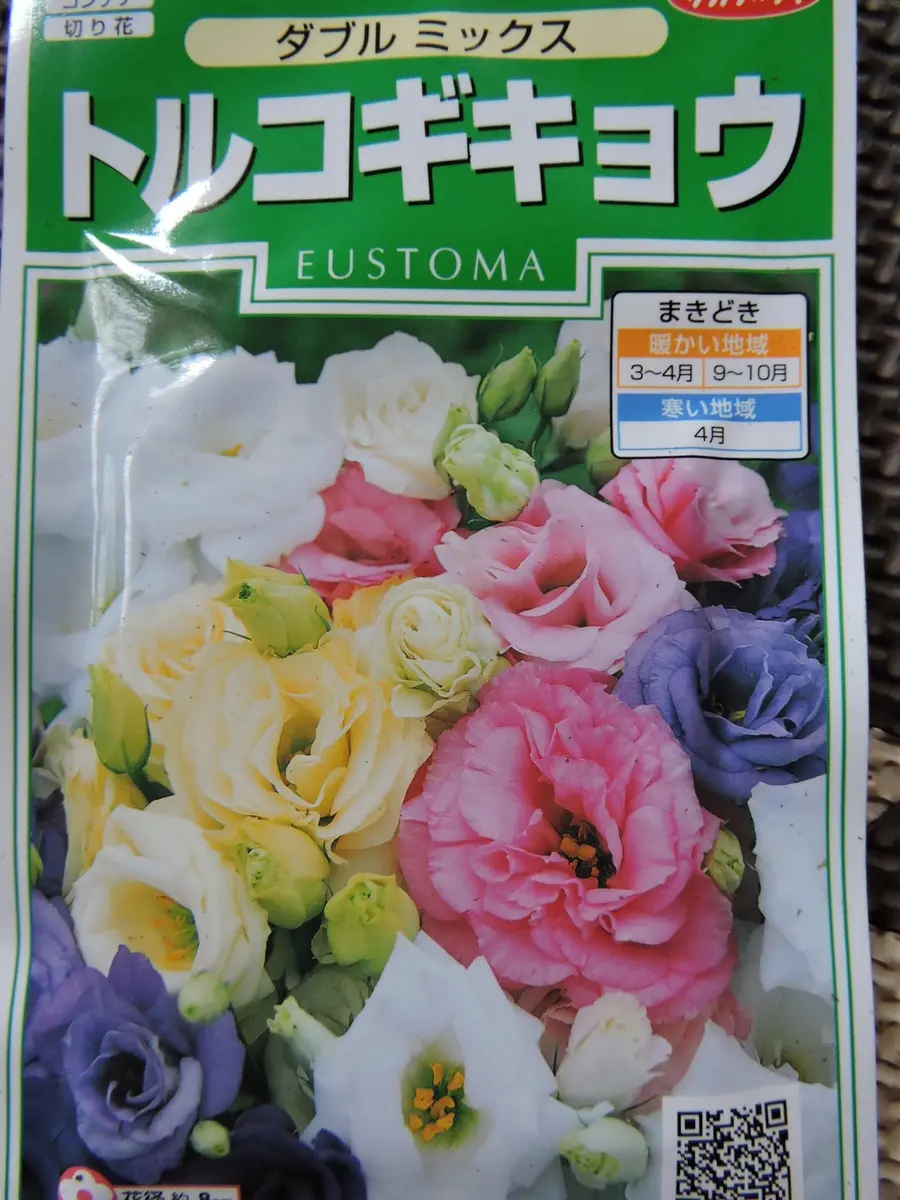 チャーハン3人前トルコキキョウ トルコギキョウ苗 チャーハン3人前様