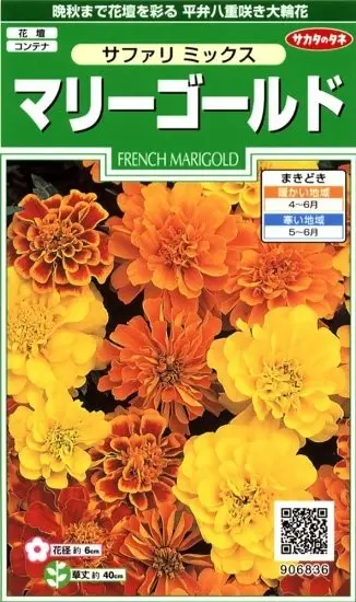 マリーゴールド｜そだレポ（栽培レポート）byまりーん｜みんなの趣味の園芸
