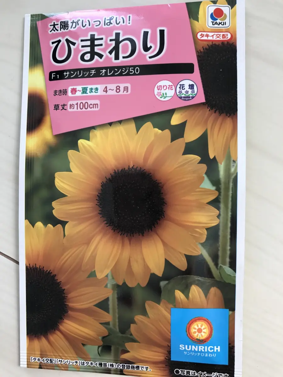 ひまわり 種子 サンリッチ フレッシュオレンジ 素早かっ 2.5ml（育苗可能本数：およそ10本)