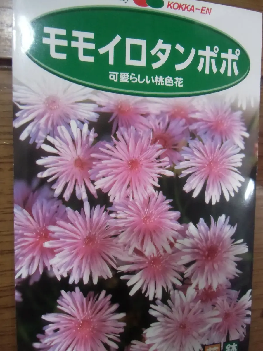 クレピスにチャレンジ！！｜そだレポ（栽培レポート）byぴんぱぱ1973｜みんなの趣味の園芸