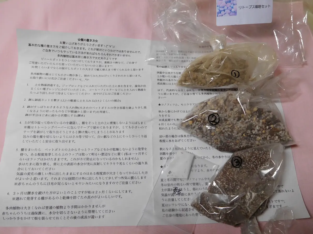 種から育てるリトープス|そだレポ(栽培レポート)byひょこりん 種から育てるリトープス|そだレポ(栽培レポート)byひょこりん