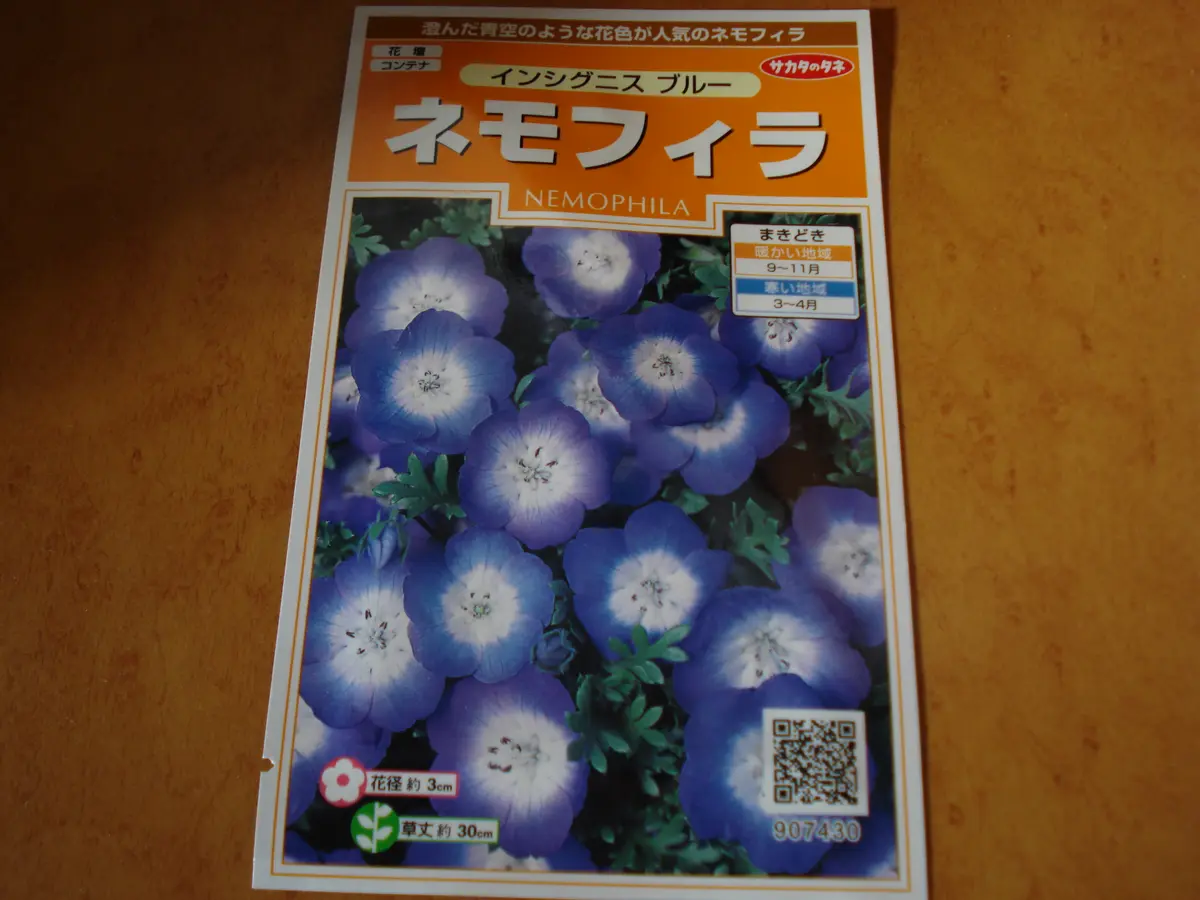 12月のネモフィラの種まき｜そだレポ（栽培レポート）by糸の切れた凧