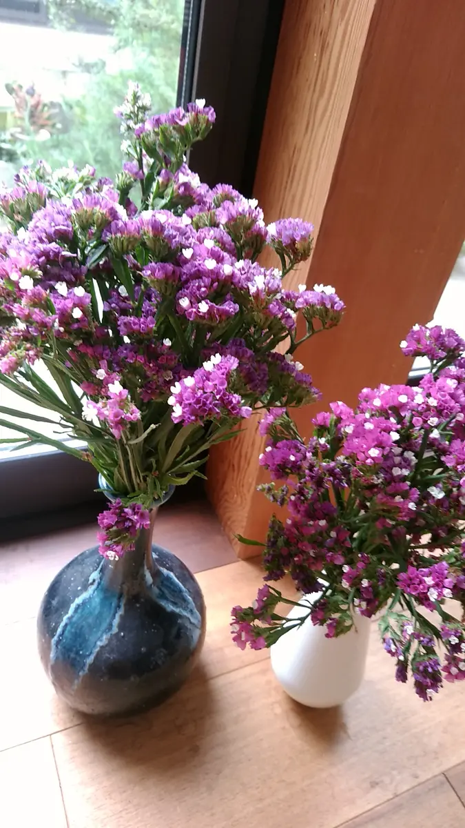 紫色のスターチス ドライフラワー 7本⇒25g〈No.40〉 紫色のスターチス ドライフラワー 7本⇒25g〈No.40〉