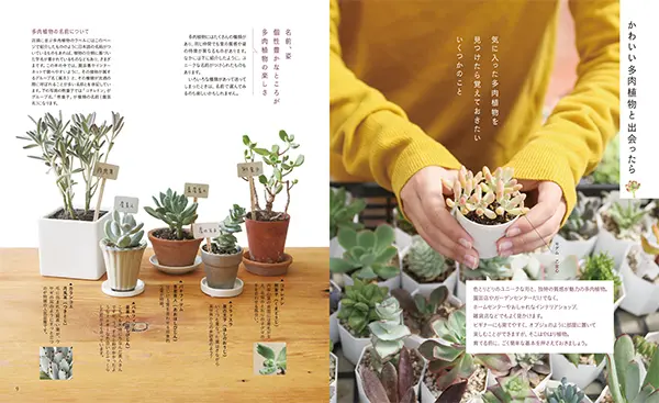 多肉・サボテン本の決定版が発売！『はじめて育てる多肉植物サボテン