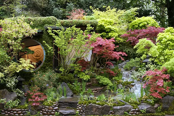 RHSチェルシーフラワーショウ2015」ショートレポート-みんなの趣味の園芸