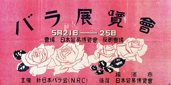 薔薇　3号 imgrc0113956601.jpg