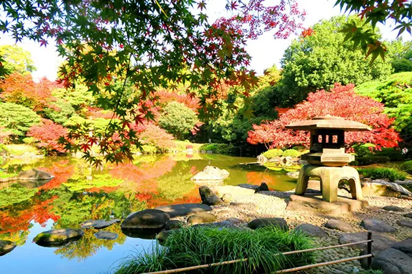 モミジやハゼ、イチョウが美しく色づく旧古河庭園に出かけよう