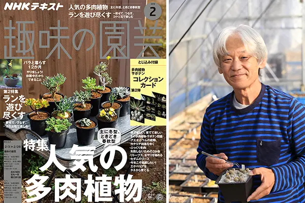 擬態、脱皮