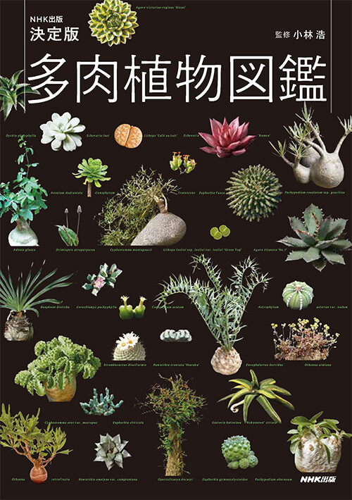 NHK出版決定版多肉植物図鑑』～多肉植物を愛するすべての人に捧げる