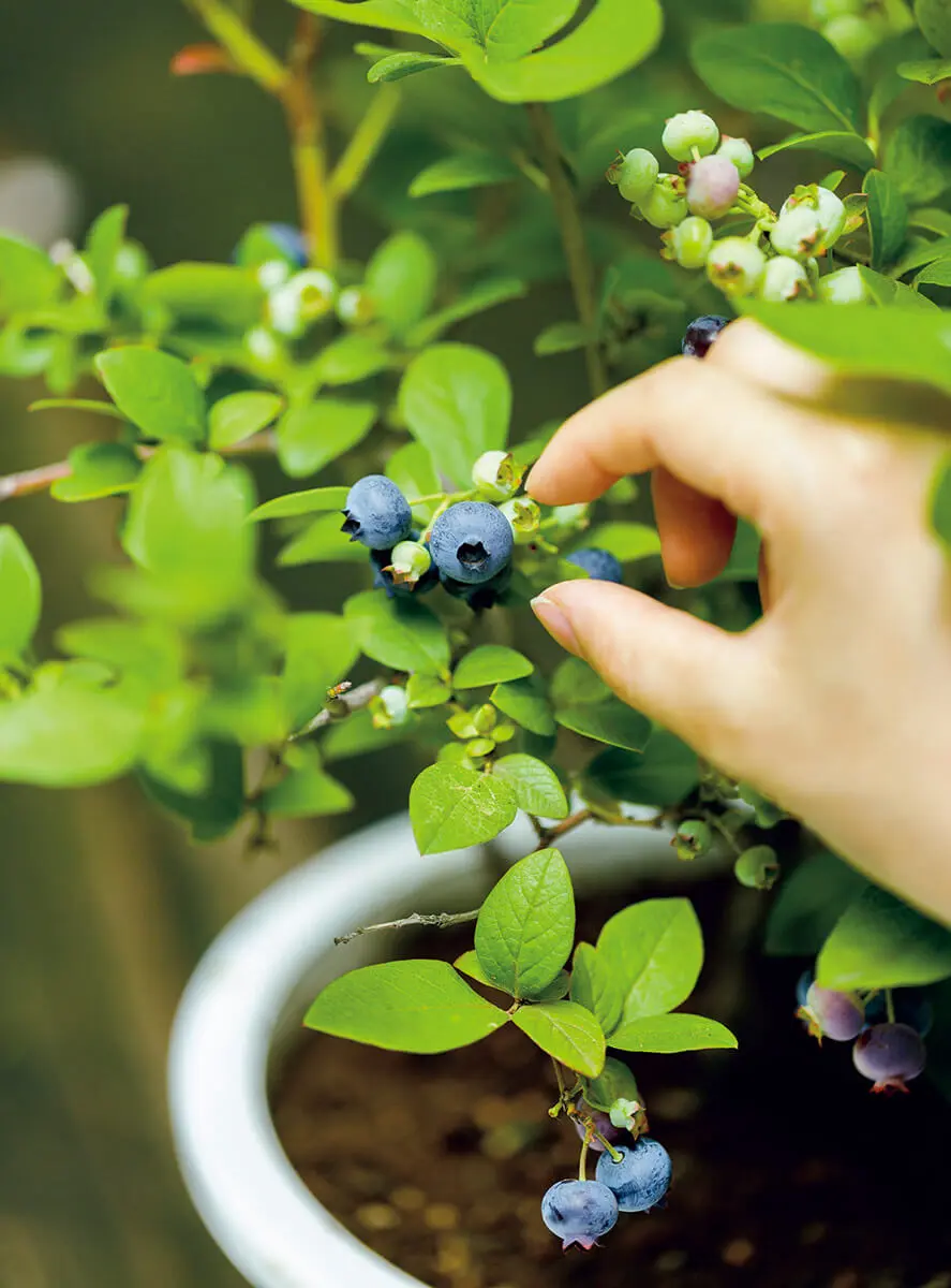 深堀未来 TRIBE KINGDOM BIGアクリルスタンド 浴衣ver 深堀未来 TRIBE KINGDOM BIGアクリルスタンド 浴衣ver 深堀未来