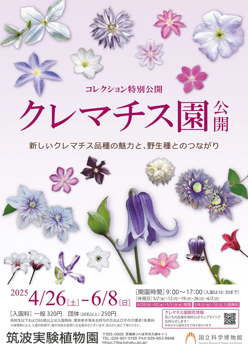 日本屈指の展示種類数！筑波実験植物園「クレマチス園」2025年の一般