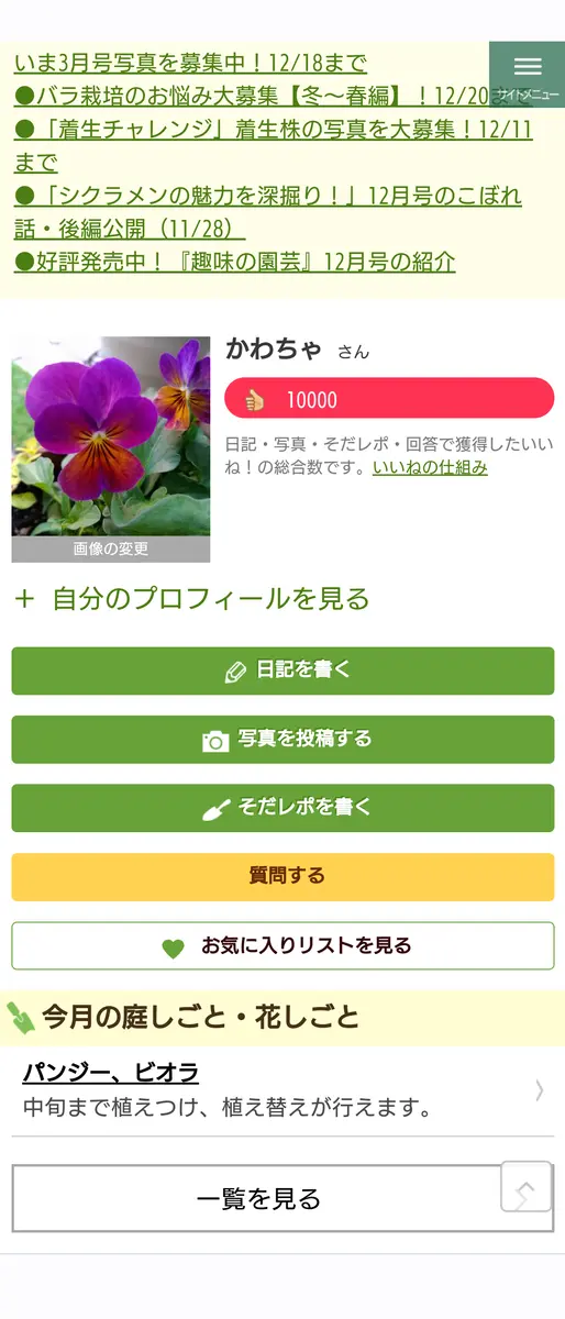 ちゃあちゃ様おまとめ品 配っ