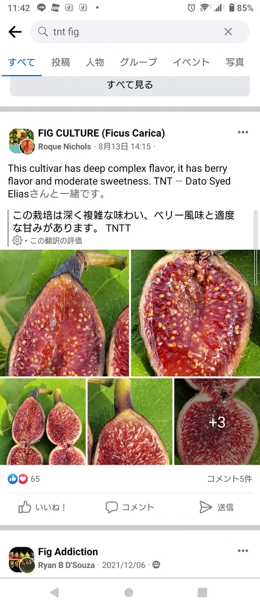 2023年7月6日｜園芸日記by鉢植え100%｜みんなの趣味の園芸｜1100593