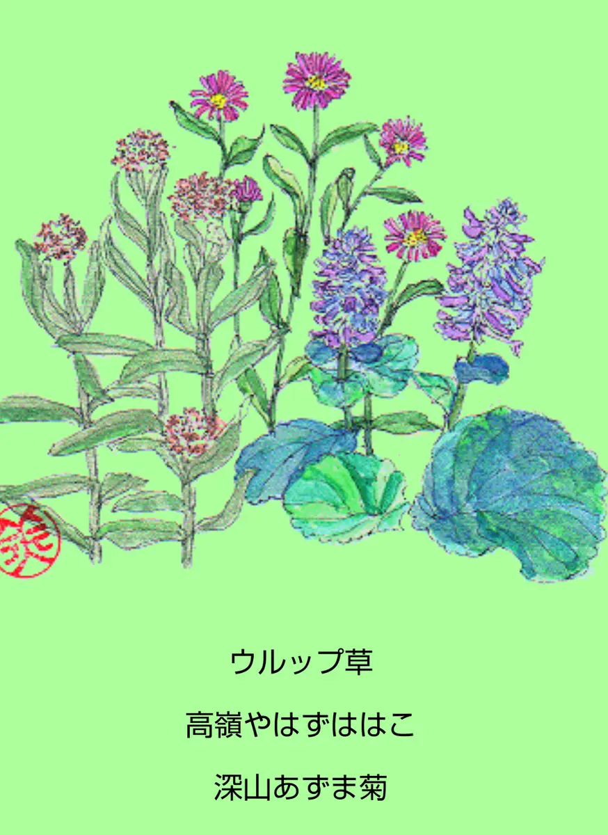 輝く高品質な 山野草の水彩画①｜園芸日記byjictenko｜みんなの趣味の園芸 絵画