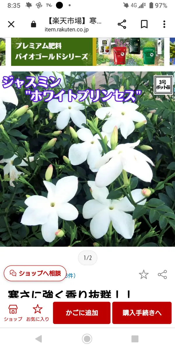 ジャスミン様ご確認用 （ジャスミン」iTunesダウンロードキャンペーン 