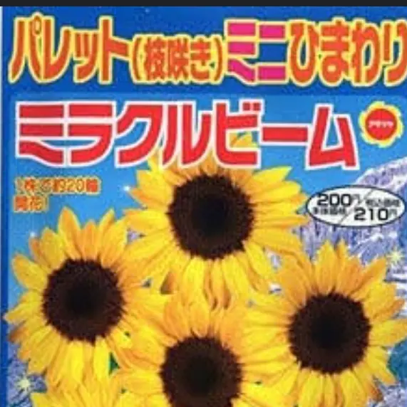 シュ-ルプランツ 超植物 世界一美しいひまわりの理想 シュ-ルプランツ 超植物 世界一美しいひまわりの理想（放送内容