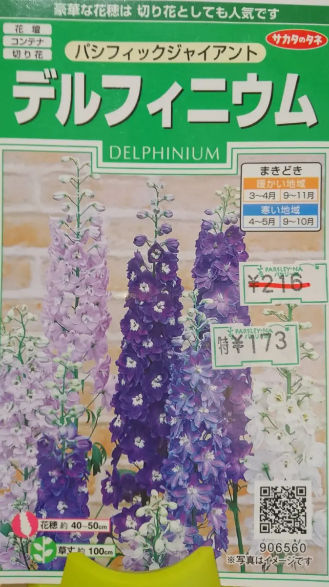 デルフィニウム種まき2019～｜そだレポ（栽培レポート）by**しま