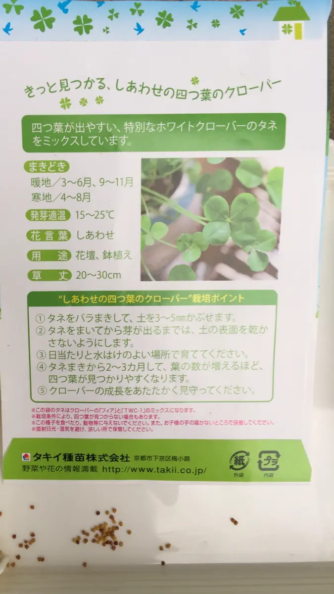 しあわせの四つ葉のクローバー🍀育てたい！｜そだレポ（栽培レポート