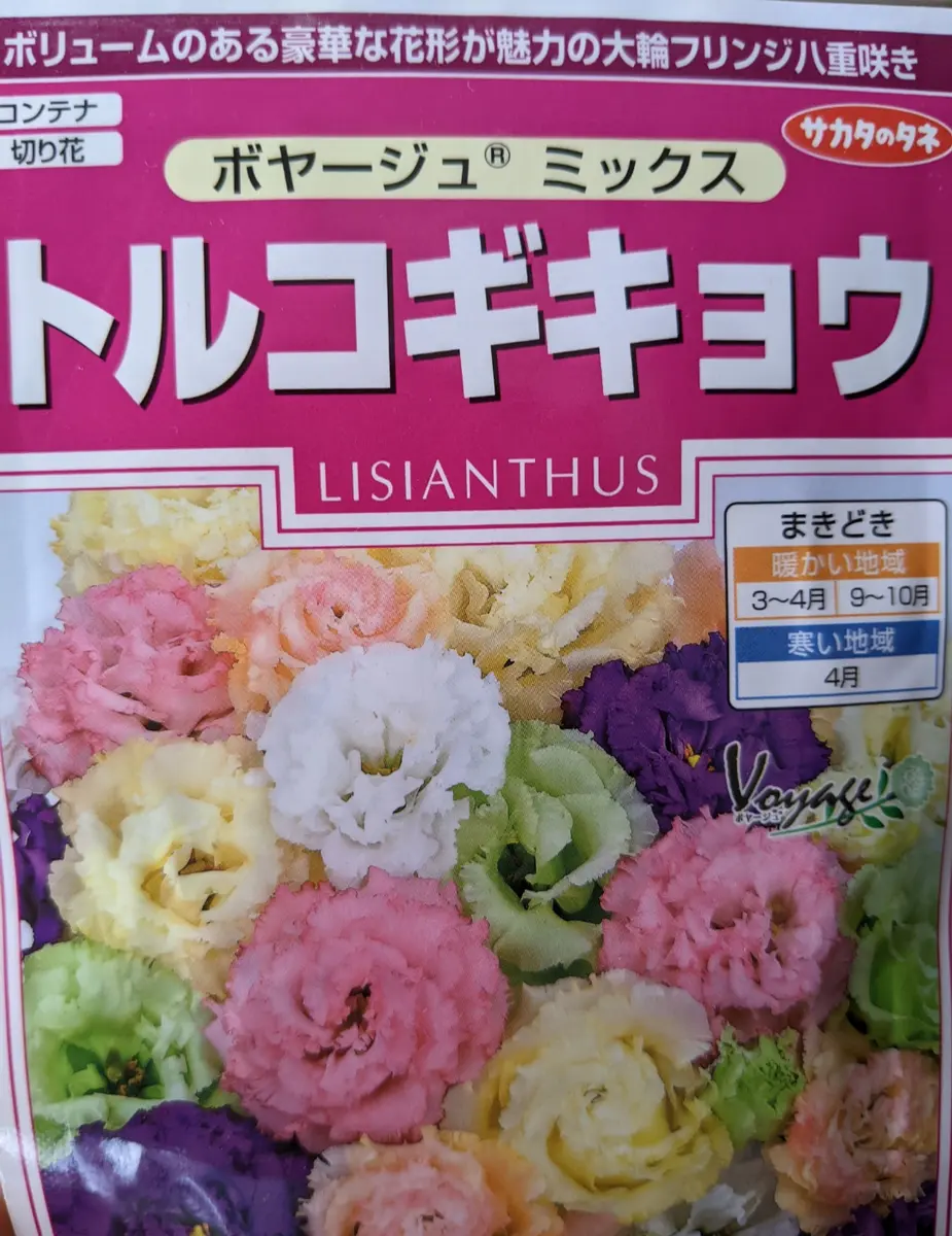 種から育てるフリフリトルコキキョウ(ボヤージュミックス)｜そだレポ