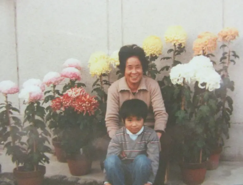 古典菊 江戸菊苗 神楽と黄瀬戸 古典菊より教わる菊の世界｜そだレポ